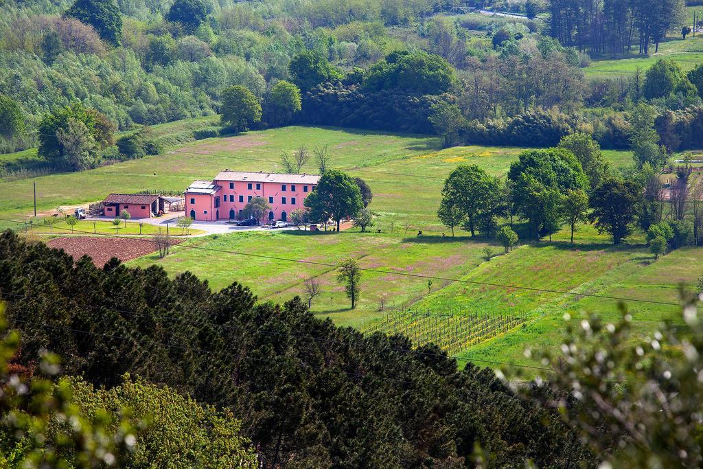 Tenuta San Giovanni Lucca Bagian luar foto